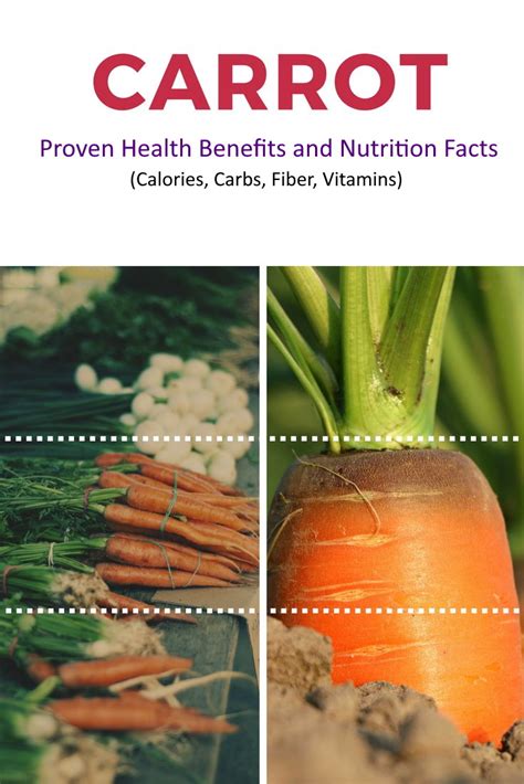 Carrots 101: Nutrition Facts and Health Benefits.